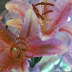 ‧₊˚❀༉‧₊˚.