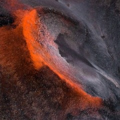 KALEIDOSCOPIC HOWL: A BILLION AVANT GUARD DOGS