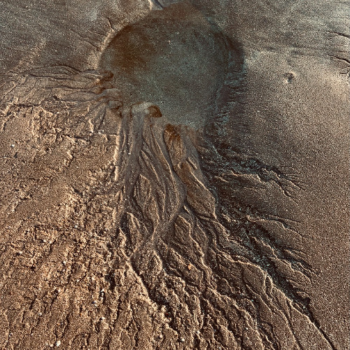 Experimental Hypnotic Techno | Chillout | Home Studio Session #1