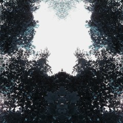 Morphology 5 Hour Deep Psybient Ambient Psychedelic DUB Journey