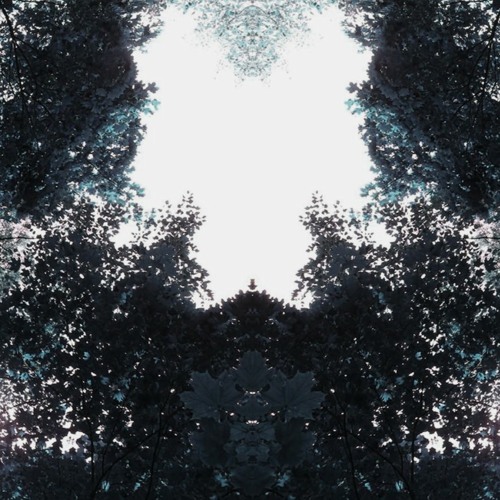 Morphology 5 Hour Deep Psybient Ambient Psychedelic DUB Journey