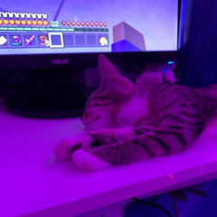 a song to go with my snacks