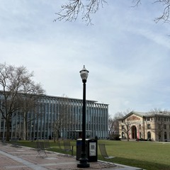 early trinket_20250328