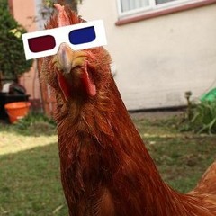 AC #1 - rouge rooster.