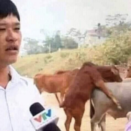 nhìn mông 🍑 - Aki, Adính