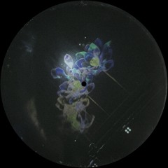 Neon Garden (slowed And reverb)