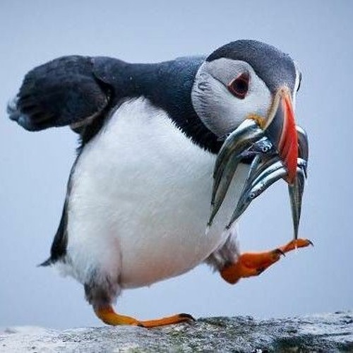 facing the plastic (mindless self indulgence remix) - serart (sped up)