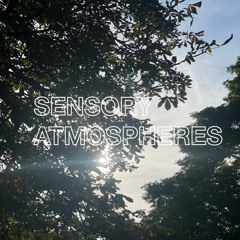 RB88 w/ Sensory Atmospheres