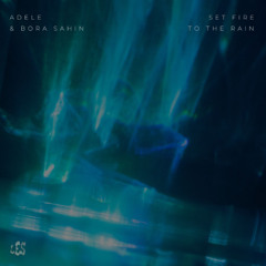 Set Fire to the Rain (Radio Edit)