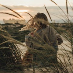 Dima: Pautina (Web)
