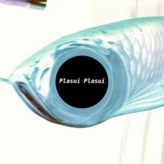 Plasui Plasui - Paloy