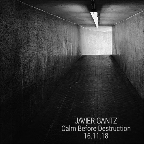 Javier Gantz 18 | Calm Before Destruction