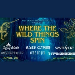 Sassyph0nik - Where the Wild things Spin (Eclectic Banger!) 🔥