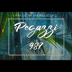 VIVRE OU PARDONNER-ZOUXXARE (PEGAZZI RMX) 2024.mp3