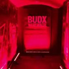 Moiseline Convocatoria @FEP 2020 BUDX
