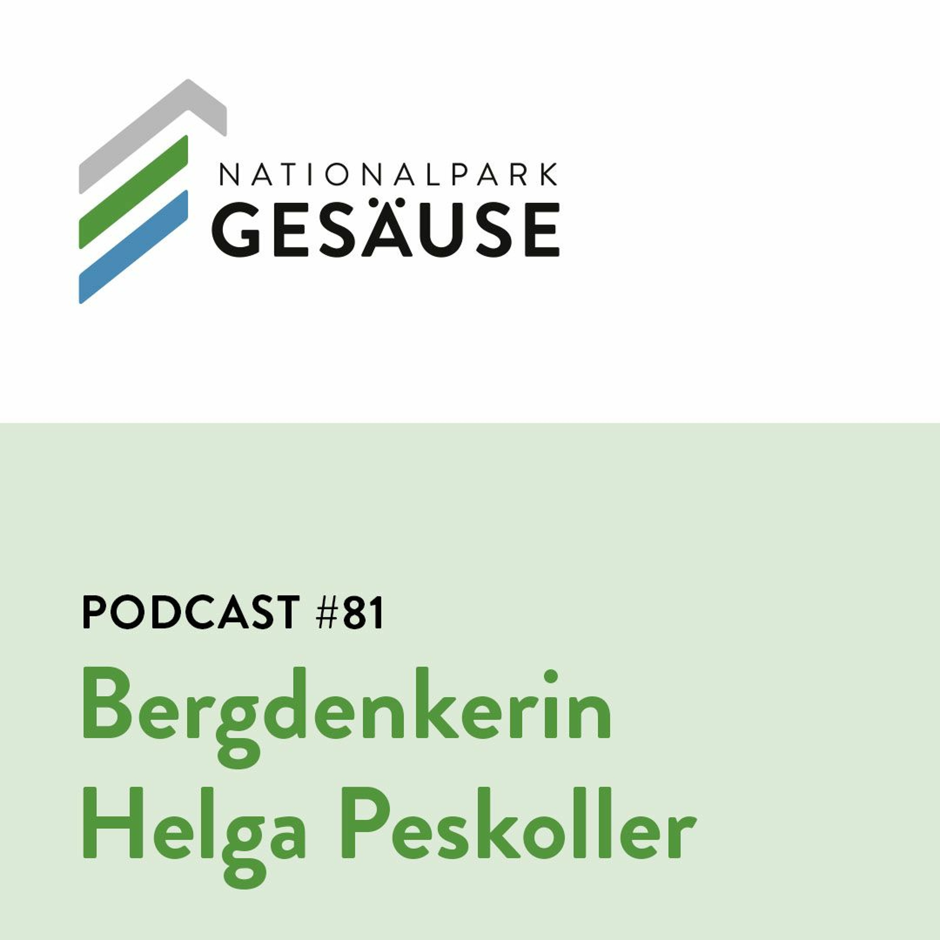 Podcast #81 - Im freien Fall episode artwork