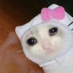 𝕙a𝕡𝕡𝕪 𝕡𝕚𝕝𝕝𝕤シ~❤️