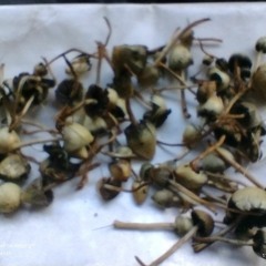 What A Great Free Thing To Find