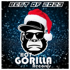 Hot Gorilla Records - Best of 2023