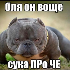 Шизоид (remix by xs)