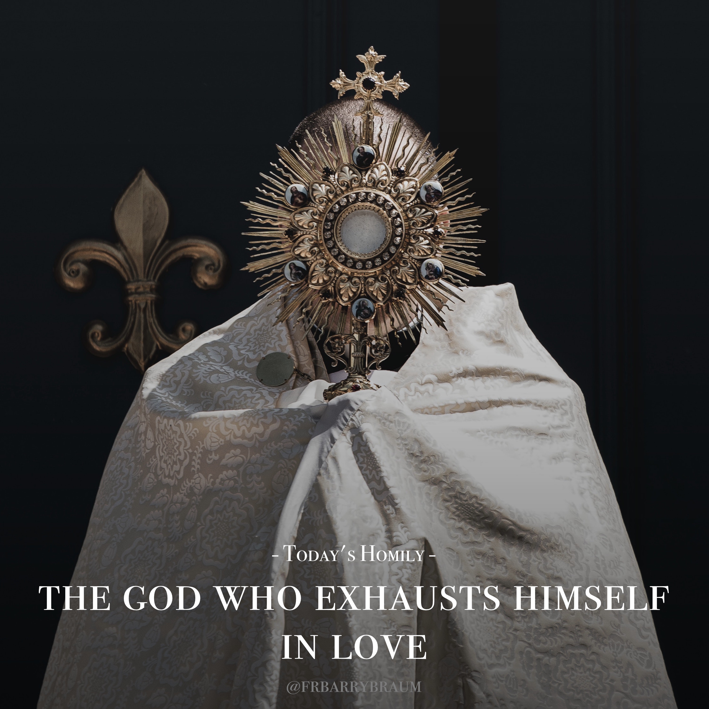 Fr. Barry Braum - Homilies and Conferences