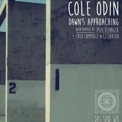 Cole Odin - Dawn's Approaching [Psychemagik Remix]