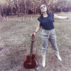 Missing Link MASTER