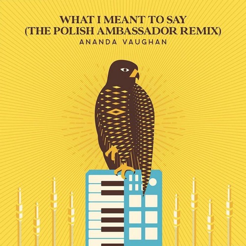 Ananda Vaughan - What I Meant To Say (The Polish Ambassador Remix)