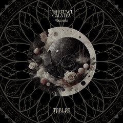 Coherence, Galatea - Una Noche