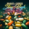 Скачать видео: Irradiate & Satirized - Stay High