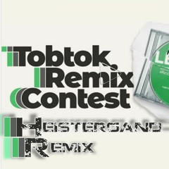Tobtok - New Levels (feat. Mila Falls) [Heistergand Remix]
