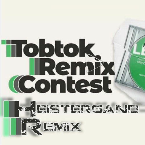 Tobtok - New Levels (feat. Mila Falls) [Heistergand Remix]
