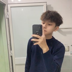 The last Mohican - Vincent K