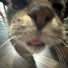 come clean prod. 4096