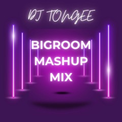 Bigroom Mashup Mix By DJ TONGEE