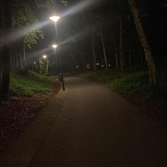 in mein blut (prod.fwchris)