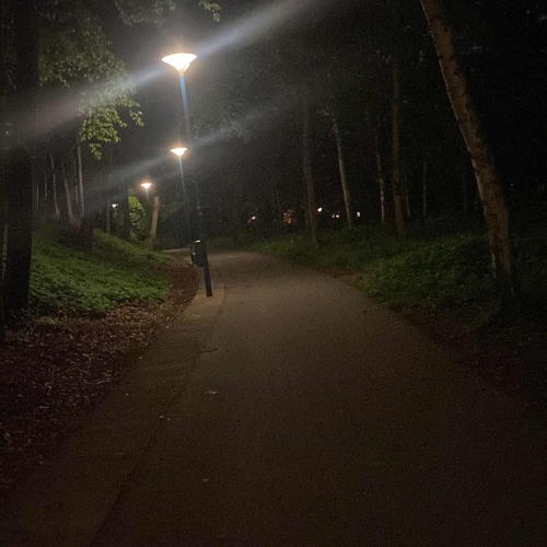 in mein blut (prod.fwchris)