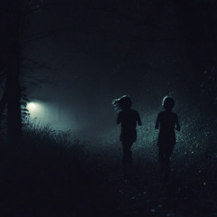 Shadows in the Dark
