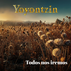 Morimos