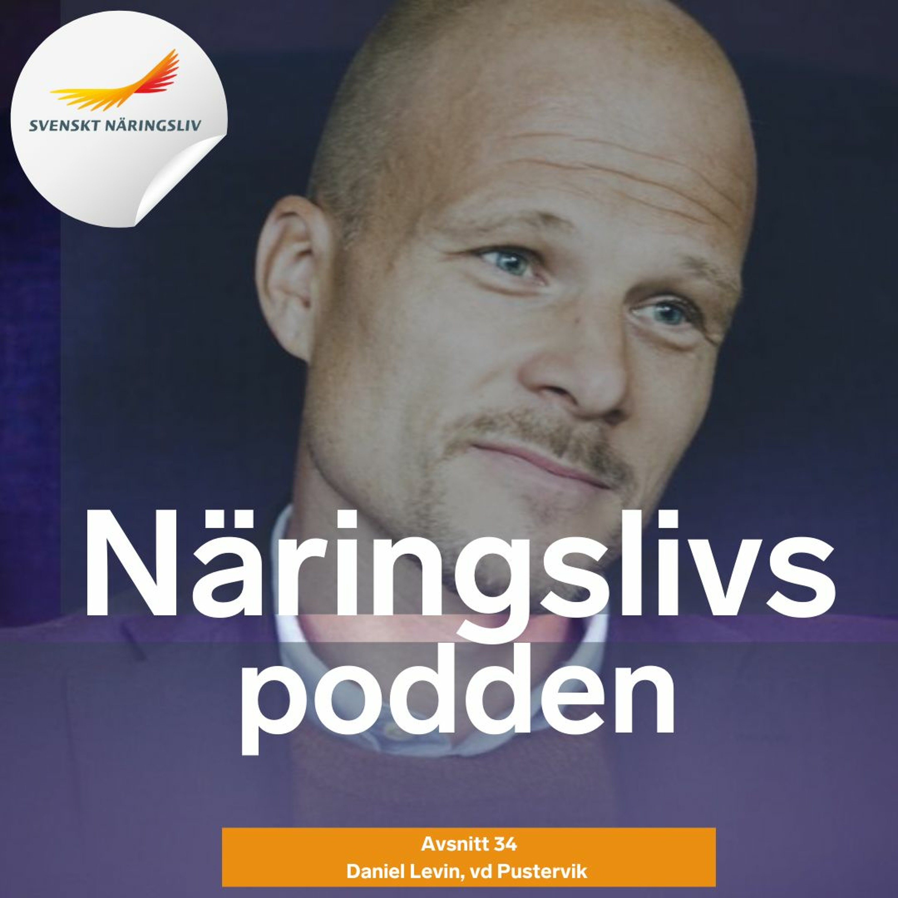 Näringslivspodden