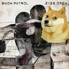Snow Patrol - Chasing Cars (DJ Doggo Remix - Preview)