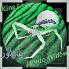 White Widow