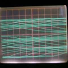 Video Degeneration
