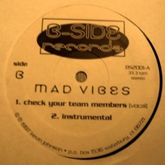 Mad Vibes - Check Your Team Members [1997]