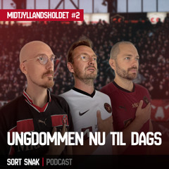 Midtjyllandsholdet #2: Ungdommen nu til dags