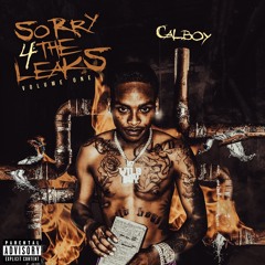 Sorry 4 The Leaks Vol. 1
