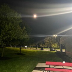 confusion ¿ prod mmmuerte