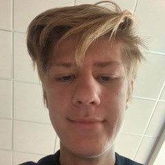 mikk joonas raudlami dissiline track record Featuring: Allar Veelmaa