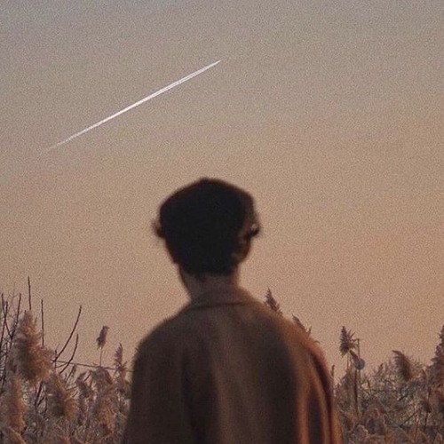 𝚑𝚊̣ 𝚌𝚘̀𝚗 𝚟𝚞̛𝚘̛𝚗𝚐 𝚗𝚊̆́𝚗𝚐 | 𝚜𝚕𝚘𝚠𝚎𝚍