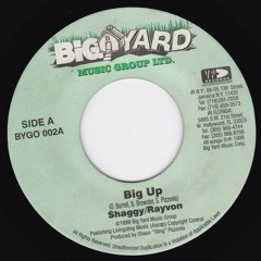 Shaggy & Rayvon - Big Up (Ldubs Remix)